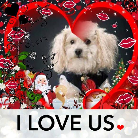 Meet your Posher, Linda - Picture 1 of 1